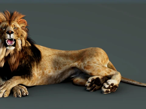 Lion Rigged 3D Model