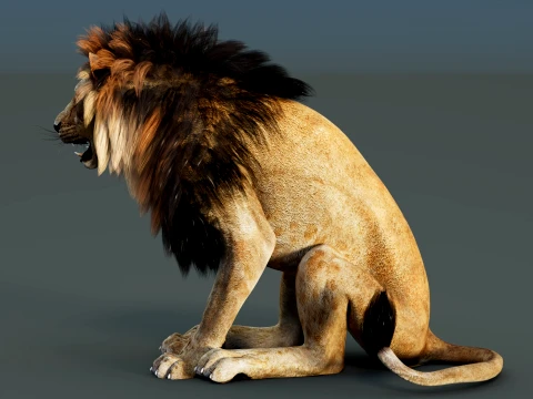 Lion Rigged 3D Model