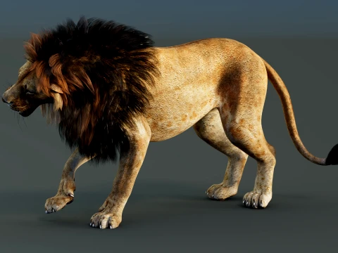 Lion Rigged 3D Model