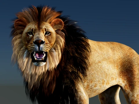 Lion Rigged 3D Model