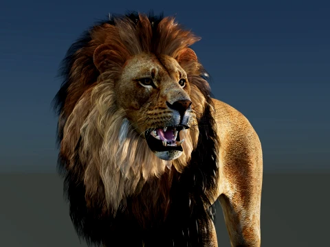 Lion Rigged 3D Model