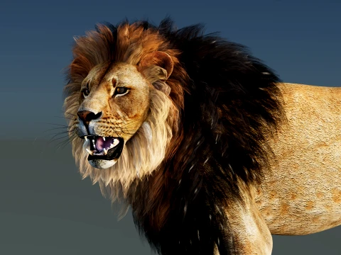 Lion Rigged 3D Model
