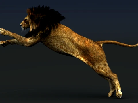 Lion Rigged 3D Model