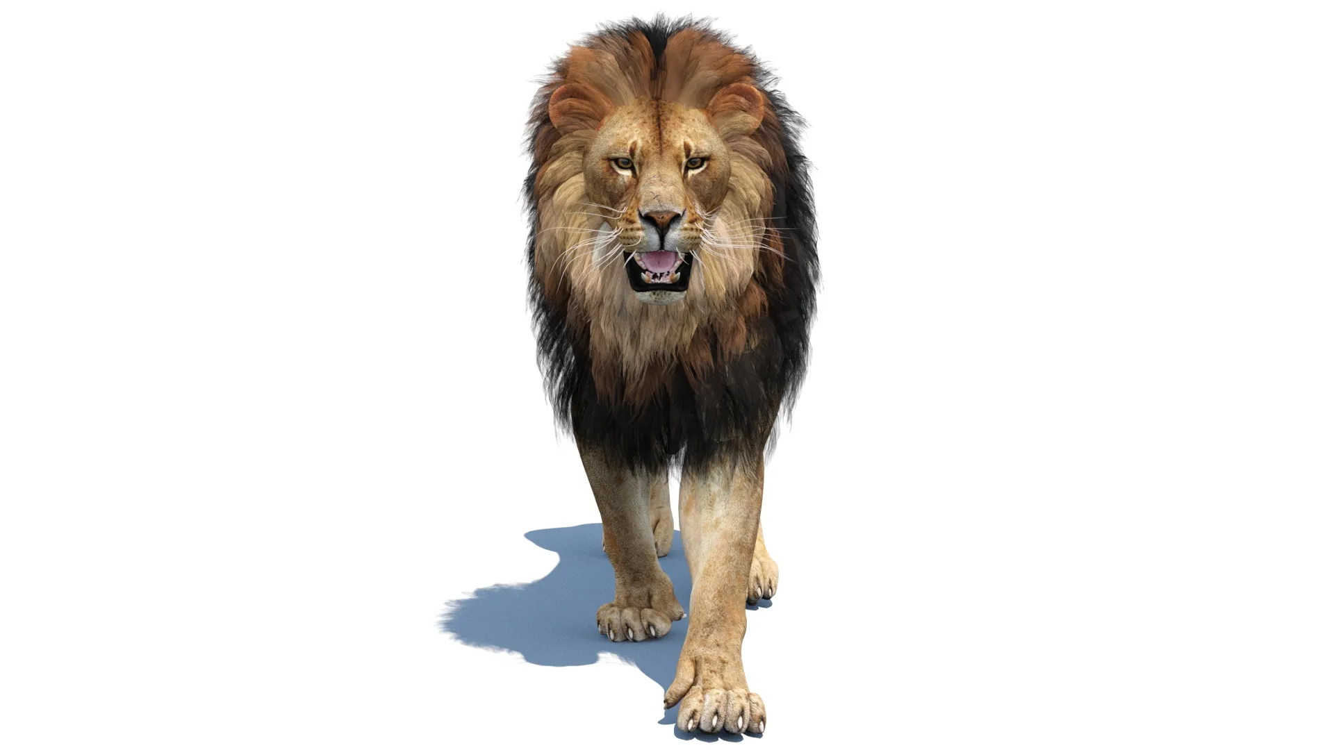 Animated Lion Game-Ready 3D Model .c4d .max .obj .3ds .fbx .stl .blend 