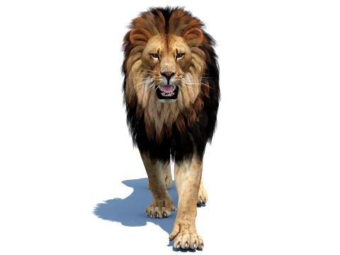 Animated Lion Game-Ready 3D Model