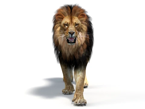 Animated Lion Game-Ready 3D Model