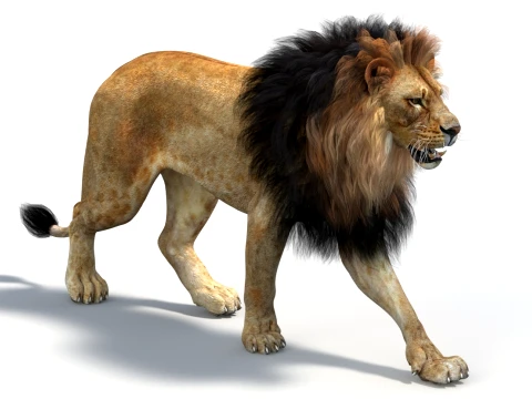 Animated Lion Game-Ready 3D Model