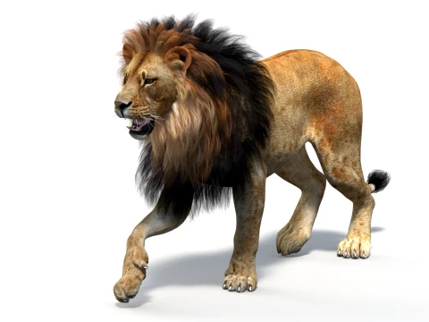 Animated Lion Game-Ready 3D Model