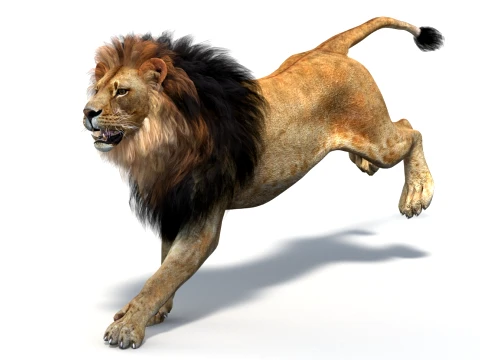 Animated Lion Game-Ready 3D Model