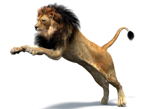 Animated Lion Game-Ready 3D Model