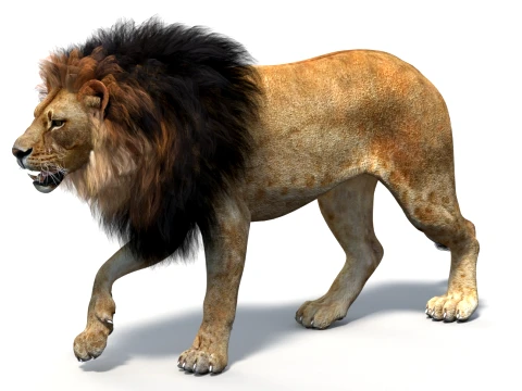 Animated Lion Game-Ready 3D Model