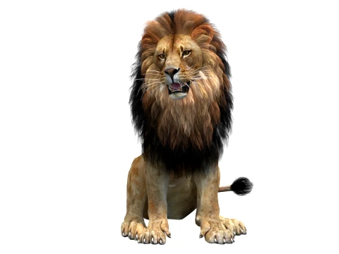 Animated Lion Game-Ready 3D Model