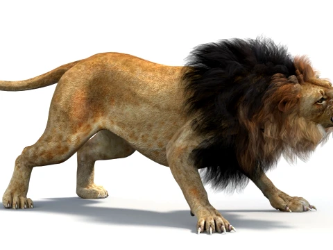Animated Lion Game-Ready 3D Model