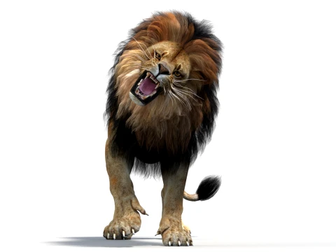 Animated Lion Game-Ready 3D Model
