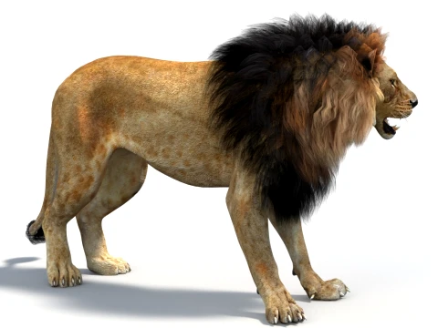 Animated Lion Game-Ready 3D Model