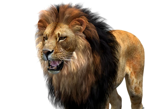 Animated Lion Game-Ready 3D Model