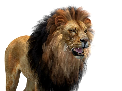 Animated Lion Game-Ready 3D Model