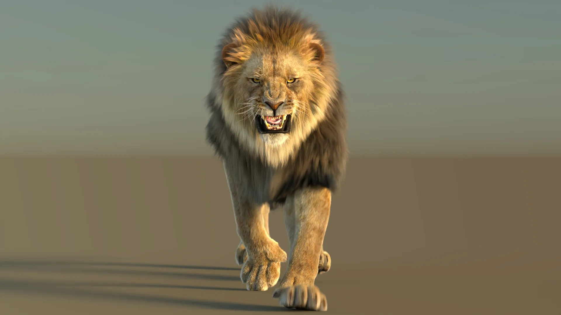 Animated Lion with Fur 3D Model .c4d .max .obj .3ds .fbx .stl .blend 