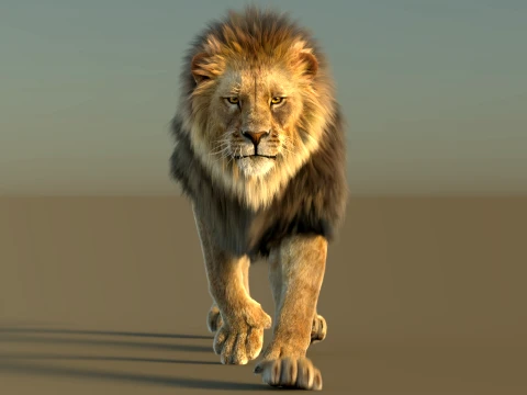 Animated Lion with Fur 3D Model