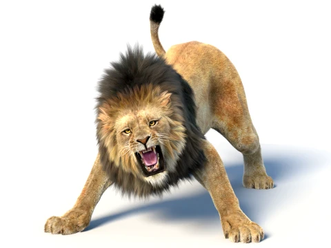 Animated Lion with Fur 3D Model