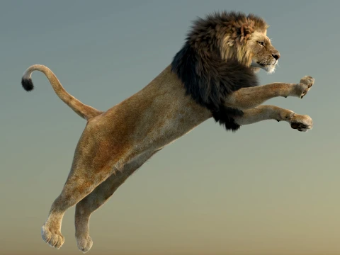 Animated Lion with Fur 3D Model