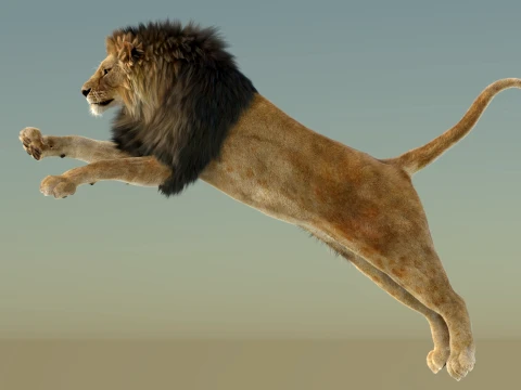 Animated Lion with Fur 3D Model