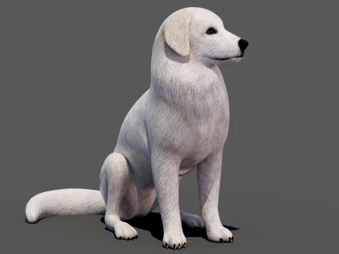 Rigged Great Pyrenees Dog - Game-Ready Modello 3D