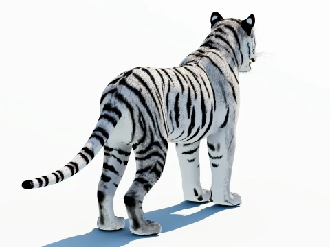 White Tiger 3D Model