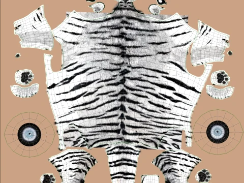 White Tiger 3D Model