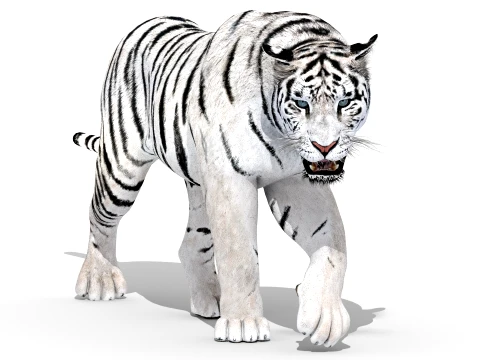 Animated Siberian White Tiger - Low-Poly 3D Model