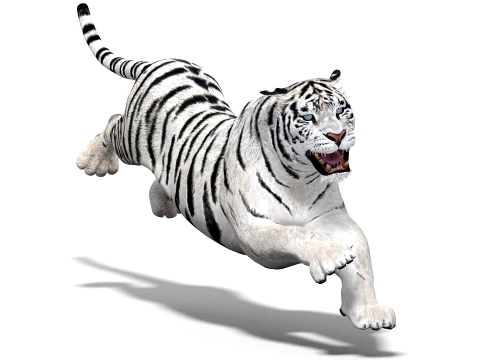 Animated Siberian White Tiger - Low-Poly 3D Model