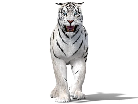 Animated Siberian White Tiger - Low-Poly 3D Model