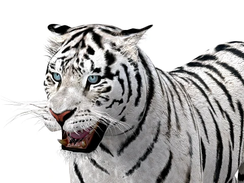 Animated Siberian White Tiger - Low-Poly 3D Model