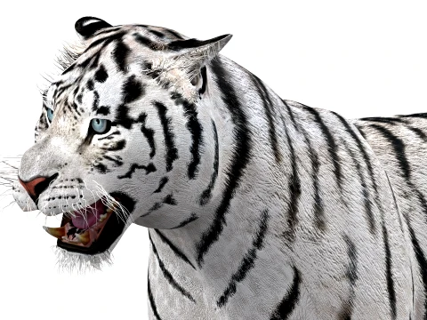 Animated Siberian White Tiger - Low-Poly 3D Model