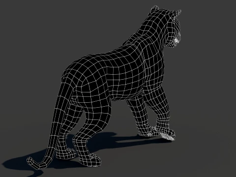 Rigged Siberian White Tiger 3D Model