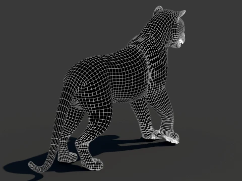 Rigged Siberian White Tiger 3D Model
