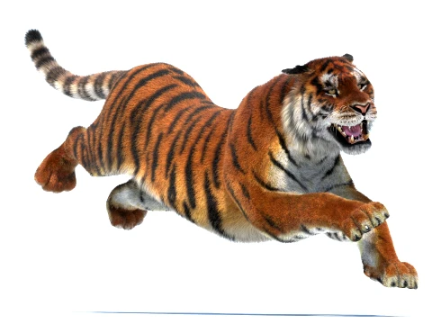 Rigged Siberian Tiger - Hair and Fur 3D Model