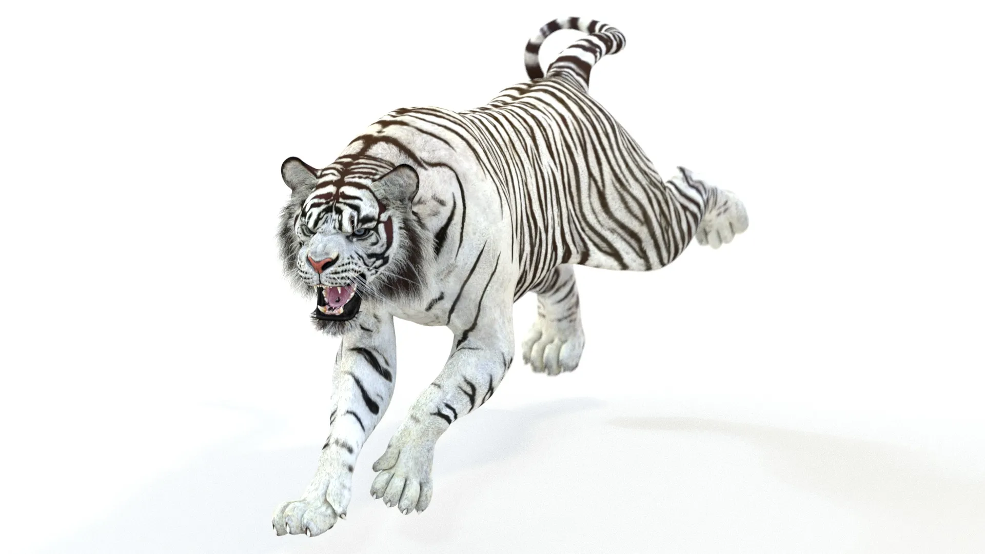 Animated White Tiger - Game-Ready 3D Model .c4d .max .obj .3ds .fbx .stl .blend 