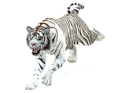 Animated White Tiger - Game-Ready 3D Model