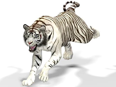 Animated White Tiger - Game-Ready 3D Model