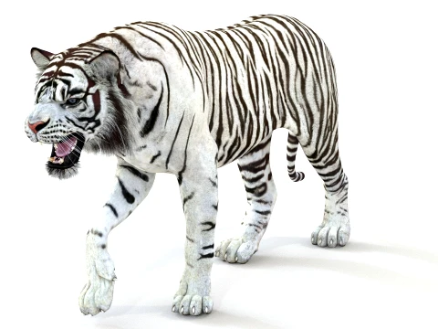 Animated White Tiger - Game-Ready 3D Model