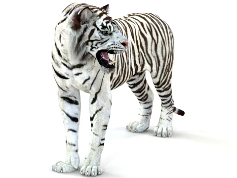 Animated White Tiger - Game-Ready 3D Model