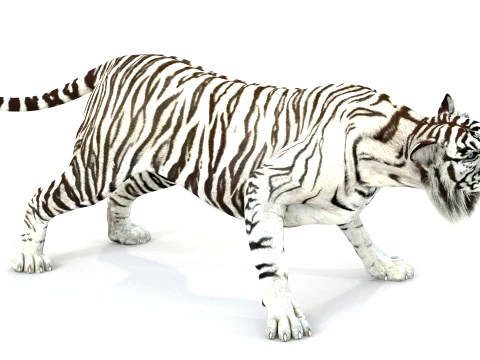 Animated White Tiger - Game-Ready 3D Model