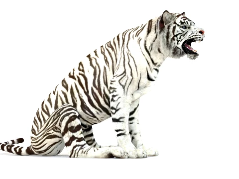 Animated White Tiger - Game-Ready 3D Model