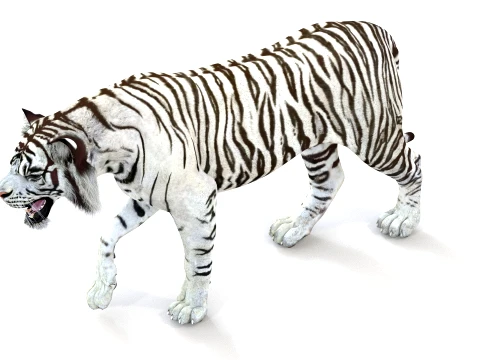 Animated White Tiger - Game-Ready 3D Model