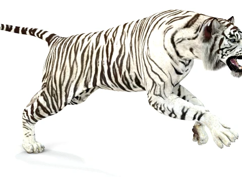 Animated White Tiger - Game-Ready 3D Model