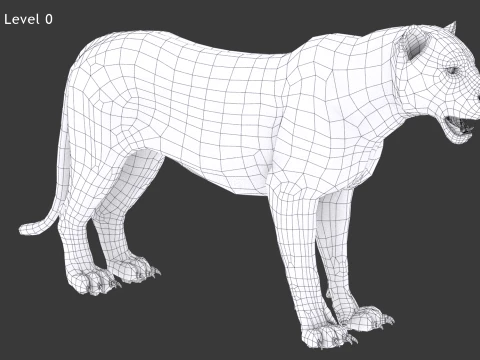 Sumatran Tiger - Hair and Fur 3D Model