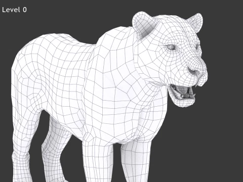 Sumatran Tiger - Hair and Fur 3D Model