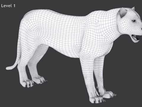 Rigged Sumatran Tiger - Hair and Fur 3D Model