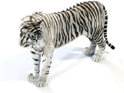 Animated White Tiger - Hair and Fur 3D Model